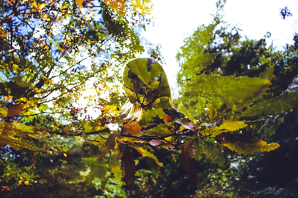 Girl In The Trees
