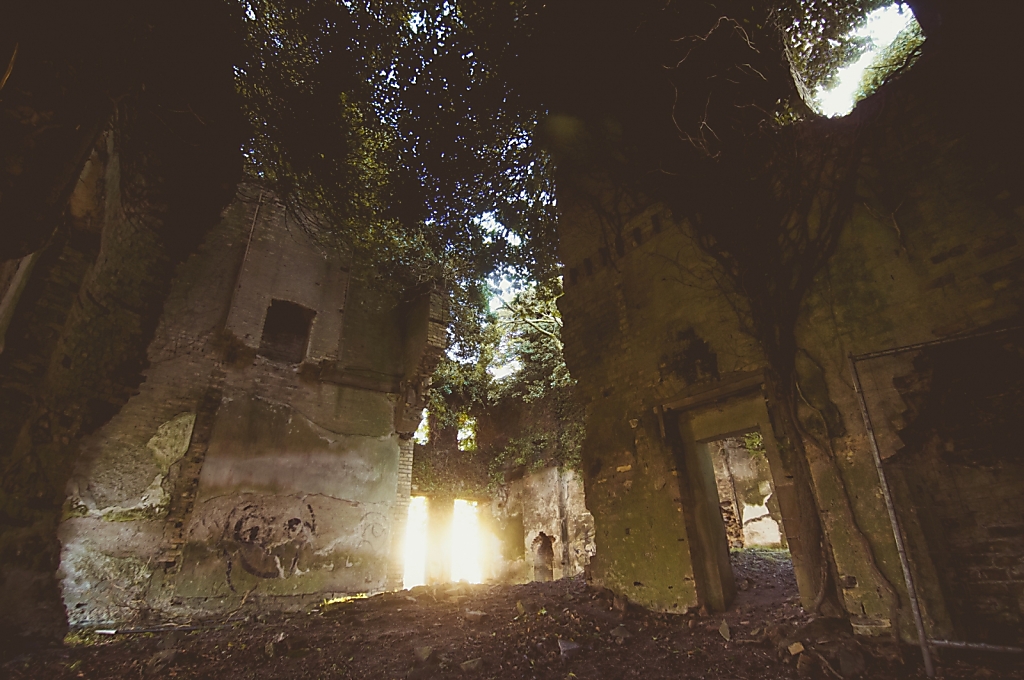 DSC8671-HDR.jpg