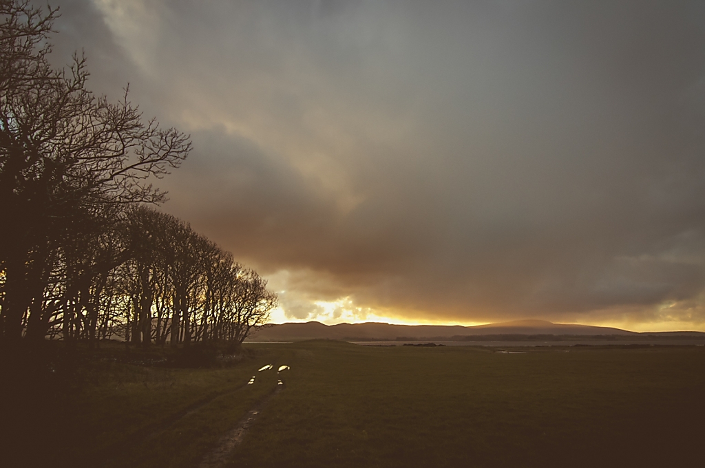 DSC8697-HDR.jpg