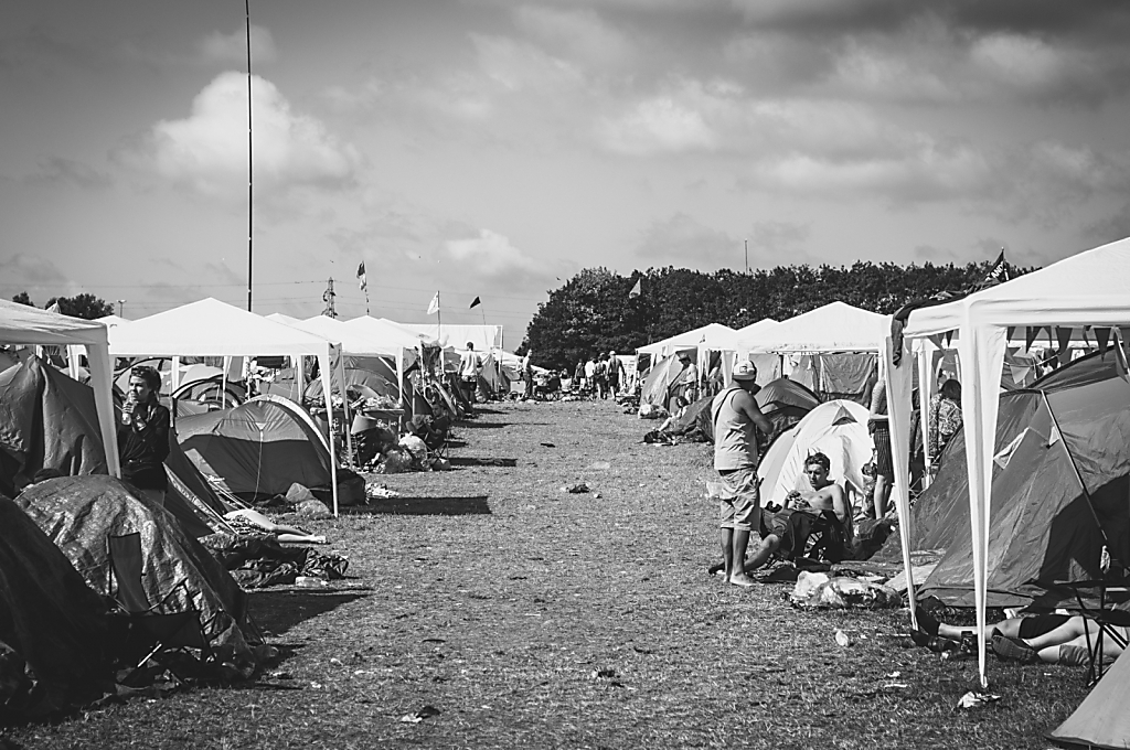 DSC6556.jpg