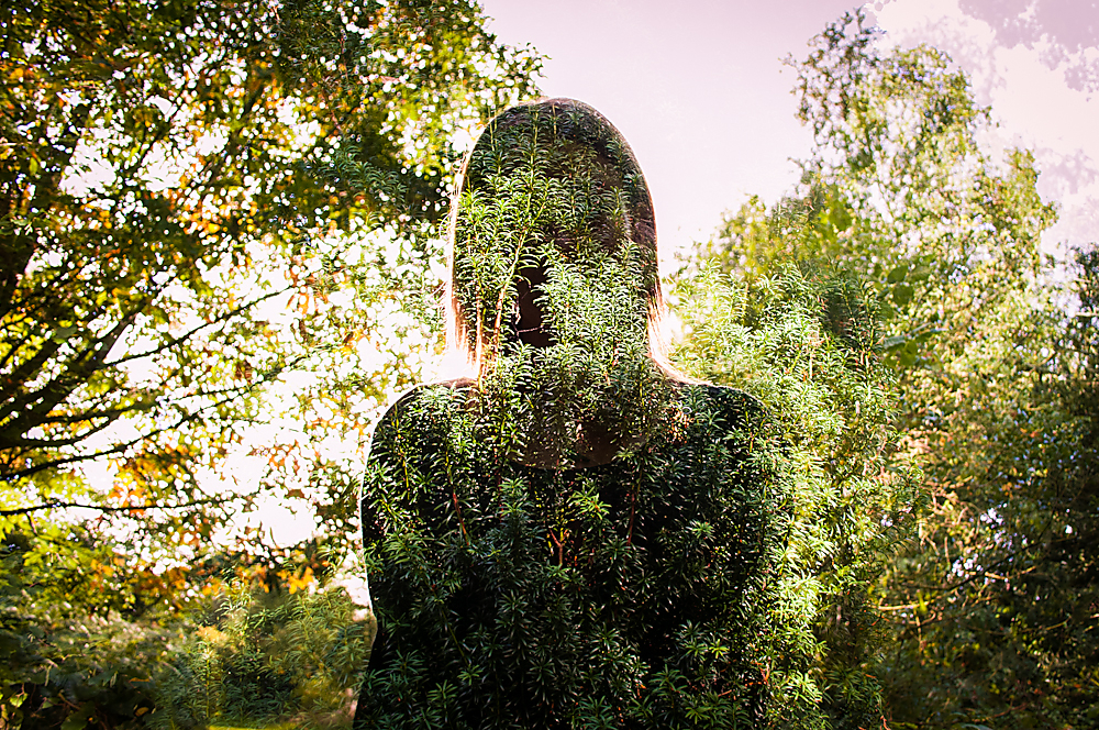 Girl in the Trees 2