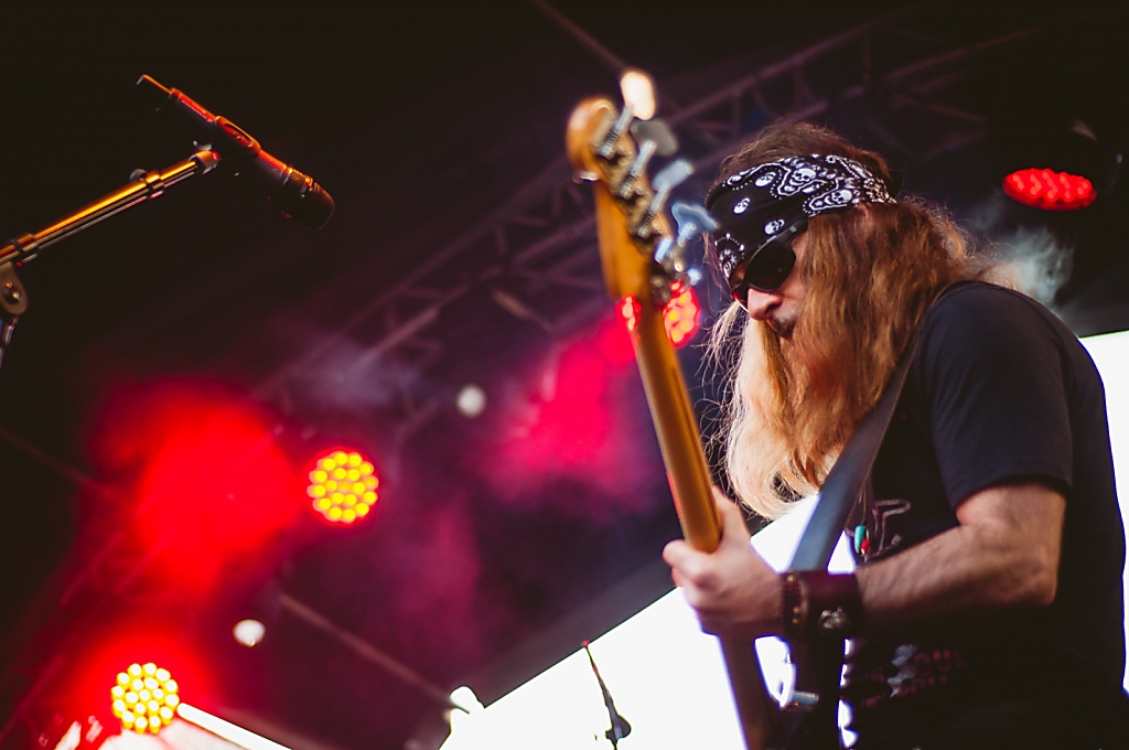  Leixlip Festival, 2015