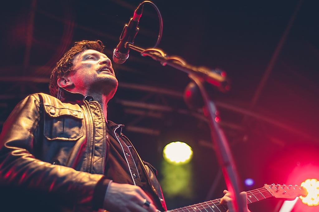  Leixlip Festival, 2015