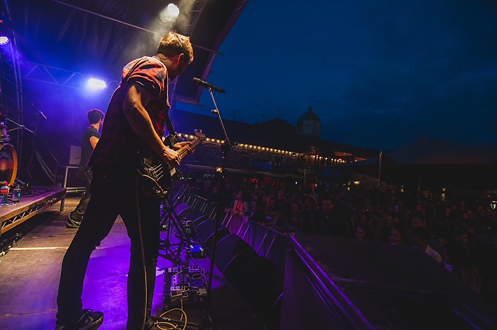  Leixlip Festival, 2015