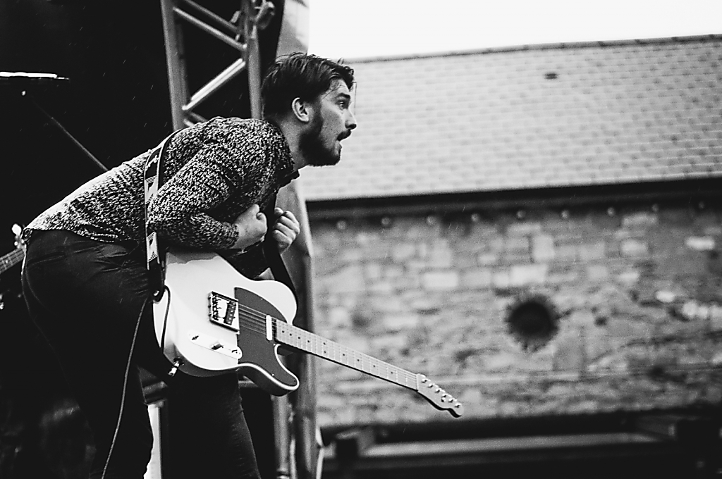  Leixlip Festival, 2015
