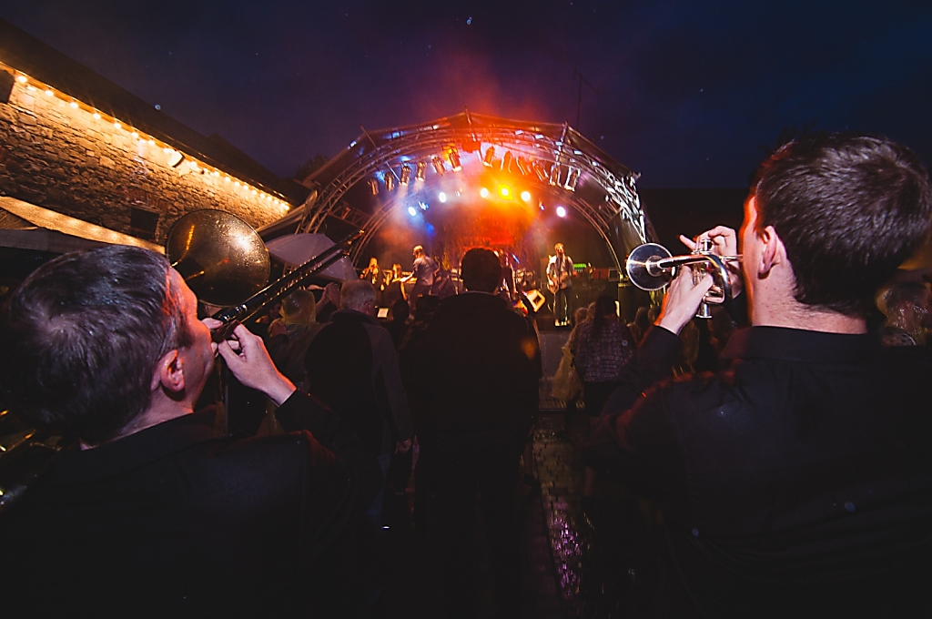  Leixlip Festival, 2015