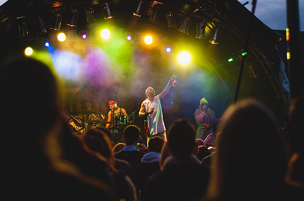  Leixlip Festival, 2015