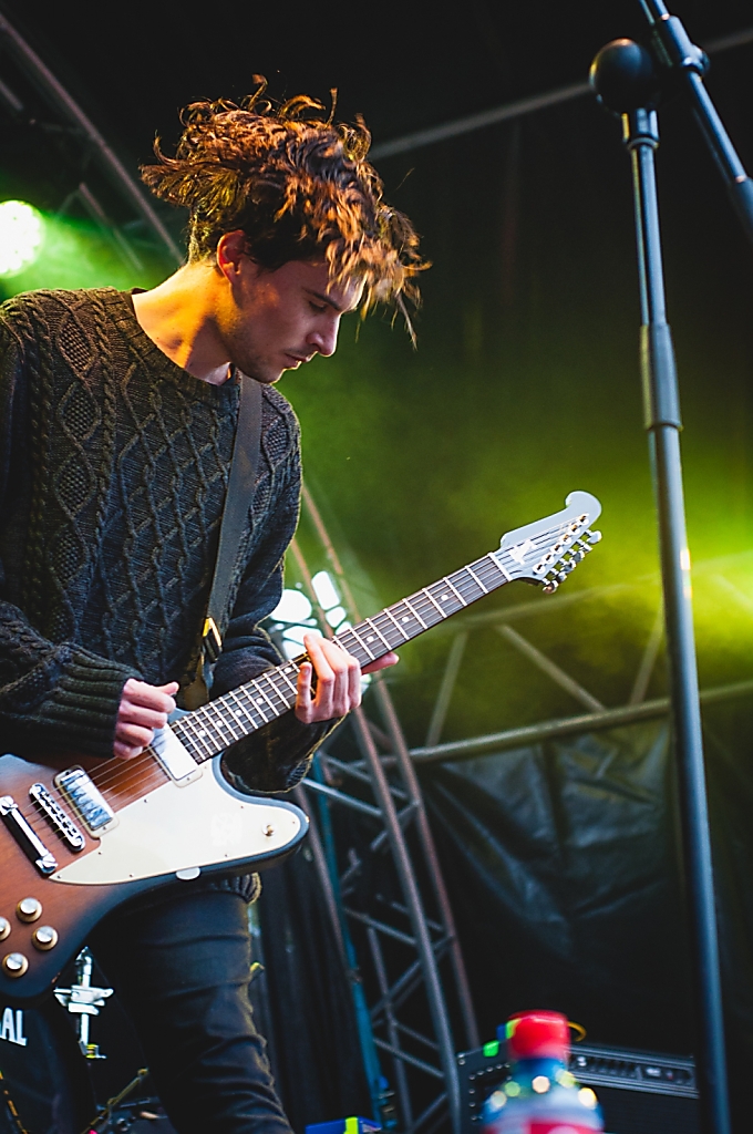  Leixlip Festival, 2015